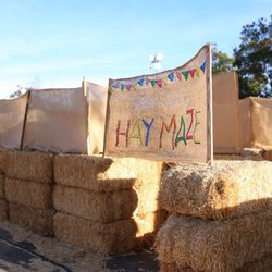 Fox Feed - Hay Maze
