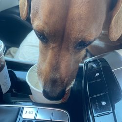 Dunkin' - Thank you Dunkin'
