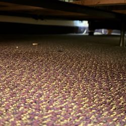 Larkspur Landing - Roseville - Debris under bed