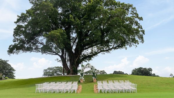 The Belgrove Resort & Spa, West Palm Beach, Autograph Collection by null