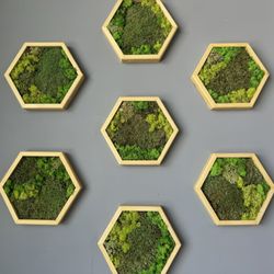 Ma’s Tea House - Cool wall designs!