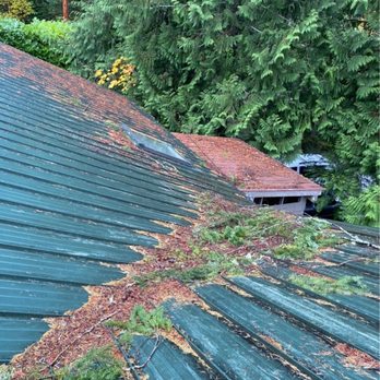 Johnny Tsunami - Pre work shot of metal roof cleaning. - Window Washing Near Me - Seattle, Washington Johnny Tsunami - Pre work shot of metal roof cleaning. - Window Washing Near Me - Seattle, Washington