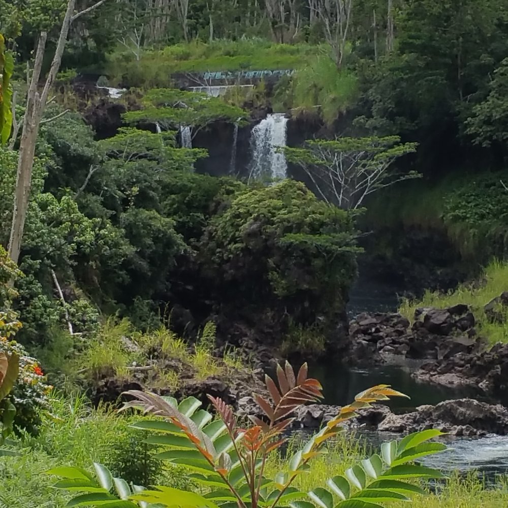 Pe'epe'e Falls & Boiling Pots - Parks Near Me - Hilo, Hawaii Pe'epe'e Falls & Boiling Pots - Parks Near Me - Hilo, Hawaii