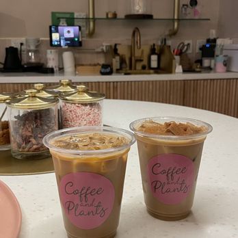Coffee and Plants - Coffeee - Coffee & Tea Near Me - Studio City, California Coffee and Plants - Coffeee - Coffee & Tea Near Me - Studio City, California