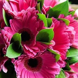 Sarah Tynan Flowers