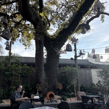 Casbah Cafe - Middle Eastern Near Me - Jacksonville, Florida Casbah Cafe - Middle Eastern Near Me - Jacksonville, Florida