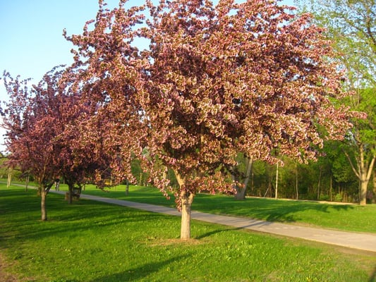 Bde Maka Ska by null