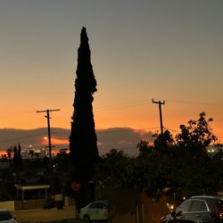 Total Care - El Monte