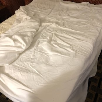 Comfort Suites Gadsden Attalla - Hotels Near Me - Gadsden, Alabama
