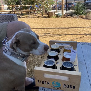 Siren Rock Brewing - Beer flights - Breweries Near Me - Rockwall, Texas Siren Rock Brewing - Beer flights - Breweries Near Me - Rockwall, Texas