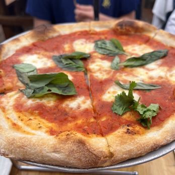 Starbelly - Pizza Margherita - New American Near Me - San Francisco, California Starbelly - Pizza Margherita - New American Near Me - San Francisco, California