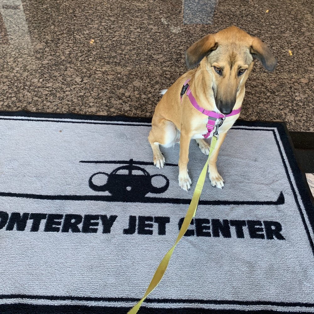 Monterey Jet Center - Entrance is dog-approved - Aviation Services Near Me - Monterey, California