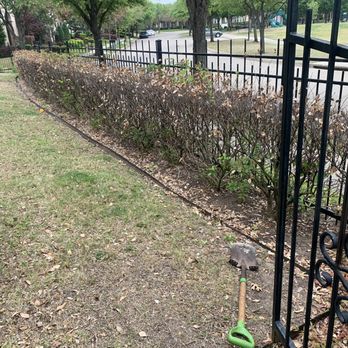 Ibarra’s Fresh Cuts Landscaping - Dead shrubs and old, rusted edging. - Lawn Services Near Me Ibarra’s Fresh Cuts Landscaping - Dead shrubs and old, rusted edging. - Lawn Services Near Me