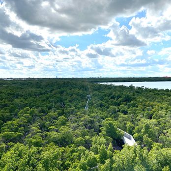 Anne Kolb Nature Center - View from the tower - Parks Near Me - Hollywood, Florida