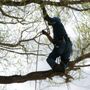 Photo of B N Trees