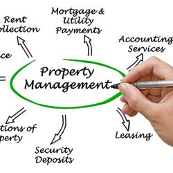 Adam Scott Properties & Management