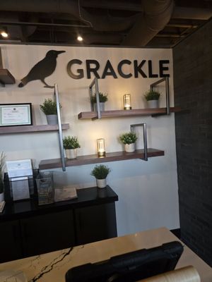 Grackle by null