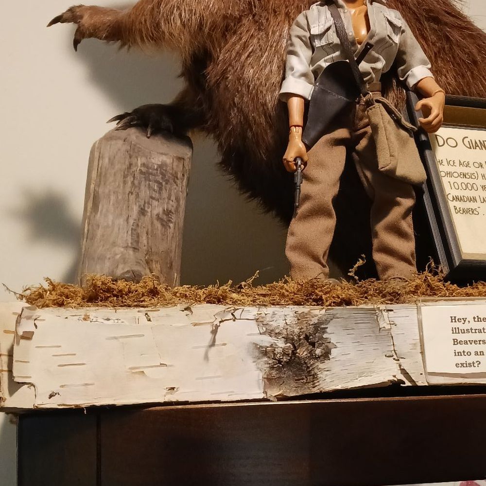 International Cryptozoology Museum - Museums Near Me - Bangor, Maine International Cryptozoology Museum - Museums Near Me - Bangor, Maine