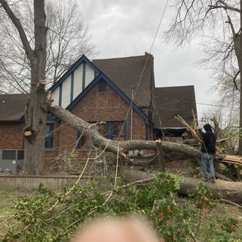 Adams Tree Service - Tree Services Near Me