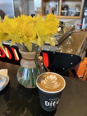Caffe Vita by null