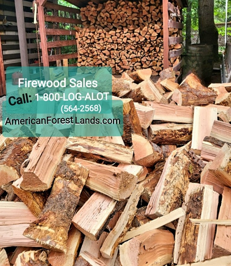 American Forest Lands Washington Logging Company - tree service in Maple Valley, WA