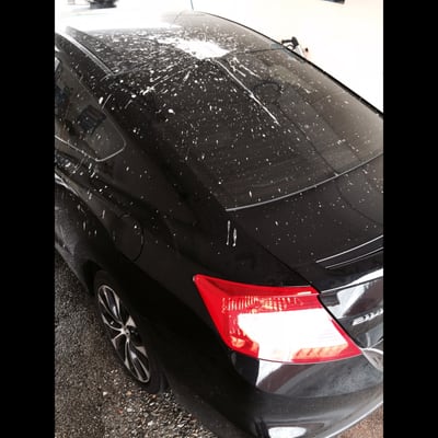 Photo of Clear Water Car Wash - South San Francisco, CA, US. Before. (That, my friends, is bird poo laid by the legendary giant seachicken of the SF bay.)