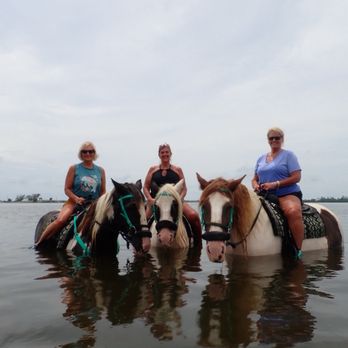 C Ponies Beach Horseback Rides - Laurie Diane & Kelly - Horseback Riding Near Me - Bradenton, Florida C Ponies Beach Horseback Rides - Laurie Diane & Kelly - Horseback Riding Near Me - Bradenton, Florida