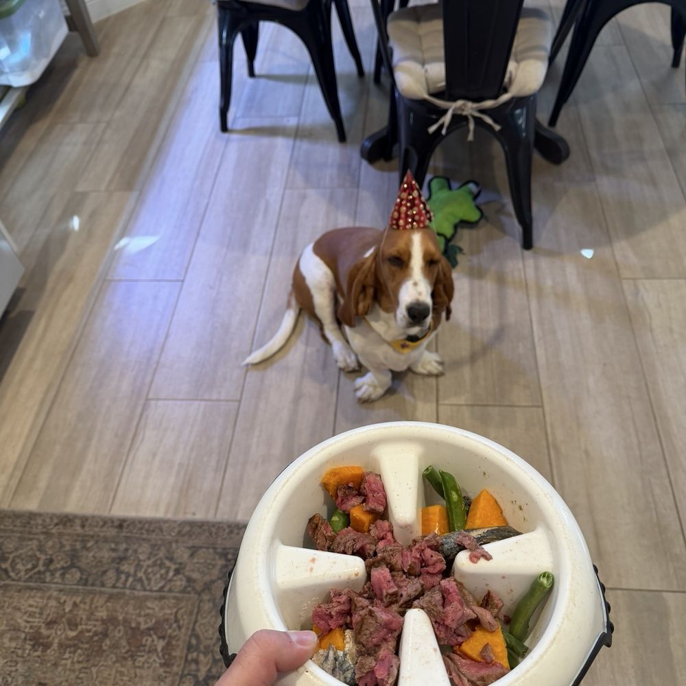 Groomingdales - Pet Groomers Near Me - Las Vegas, Nevada Groomingdales - Pet Groomers Near Me - Las Vegas, Nevada
