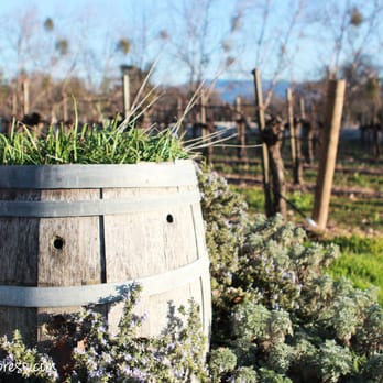 The Brander Vineyard - beautiful - Wineries Near Me - Los Olivos, California The Brander Vineyard - beautiful - Wineries Near Me - Los Olivos, California