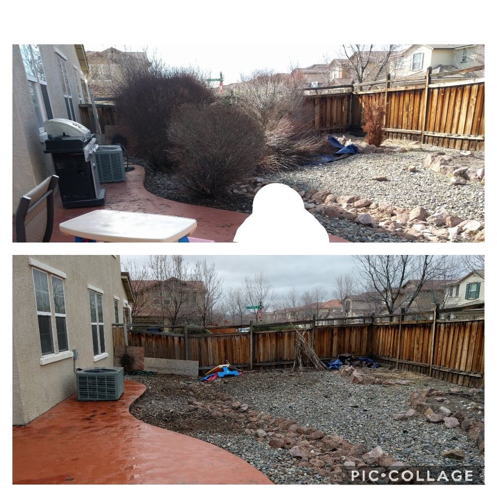 MYERS BROTHERS TREE CARE 36 Photos & 19 Reviews Reno, Nevada Tree