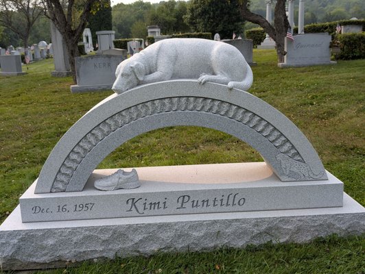 Hope Cemetery by null