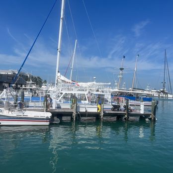 Schooner Wharf Bar - Seafood Near Me - Key West, Florida Schooner Wharf Bar - Seafood Near Me - Key West, Florida