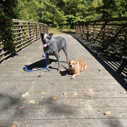 Lamborne Blvd Trailhead