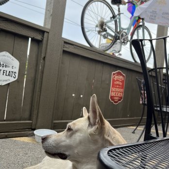 Handlebar - Outdoor seating, dog-tested and approved - Bars Near Me - Salt Lake City, Utah Handlebar - Outdoor seating, dog-tested and approved - Bars Near Me - Salt Lake City, Utah