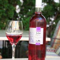 Orakel - Erlesene Weine