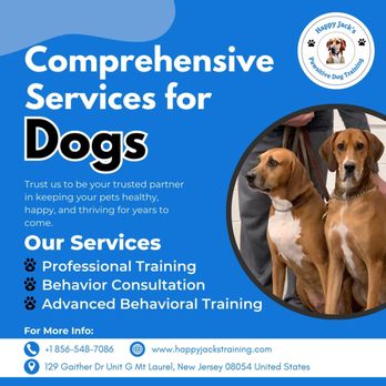 Happy Jack’s Pawsitive Dog Training - Pet Training Near Me - Mount Laurel, New Jersey Happy Jack’s Pawsitive Dog Training - Pet Training Near Me - Mount Laurel, New Jersey