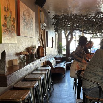Kava Collective - Lobby - Bars Near Me - San Diego, California Kava Collective - Lobby - Bars Near Me - San Diego, California