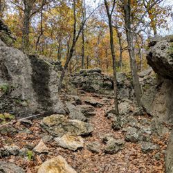 Redbud Valley Nature Preserve - Views on the trail