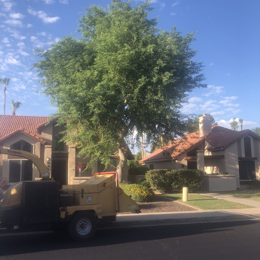 Bassett Tree Service - Tree Services Near Me - Mesa, Arizona Bassett Tree Service - Tree Services Near Me - Mesa, Arizona