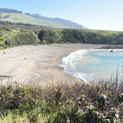 Goat Rock Beach