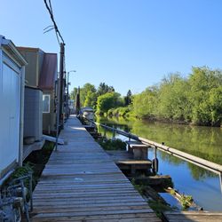 Sauvie Island - 5/10/2024 - One of the houseboat areas people live on.