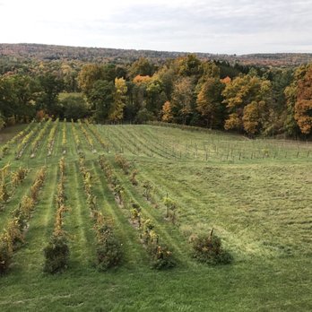 Six Mile Creek Vineyard - Wineries Near Me - Ithaca, New York Six Mile Creek Vineyard - Wineries Near Me - Ithaca, New York