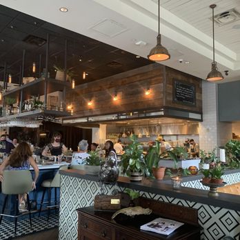 The Osprey - Seafood Near Me - Orlando, Florida