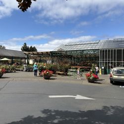 Swansons Nursery