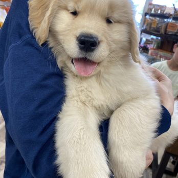 Carlsbad Pet & Feed - Pet Stores Near Me - Carlsbad, California Carlsbad Pet & Feed - Pet Stores Near Me - Carlsbad, California