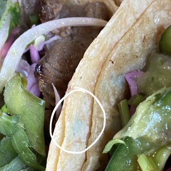 Taco Maya - Moldy corn tortillas - Mexican Near Me - Chicago, Illinois