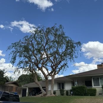 Henriquez Tree Service - Tree Services Near Me - Bakersfield, California