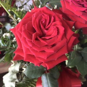 Eau Gallie Florist - Roses after 7 days! So beautuful - Florists Near Me - Melbourne, Florida Eau Gallie Florist - Roses after 7 days! So beautuful - Florists Near Me - Melbourne, Florida