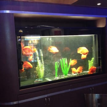 Mandarin Beijing - Chinese Near Me - Chula Vista, California Mandarin Beijing - Chinese Near Me - Chula Vista, California