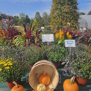 The Green Machine - Landscaping Near Me - Bloomfield, Connecticut